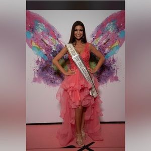 Pink Ellie Wilde size 2 dress, for prom, sorority functions, pageants or formals